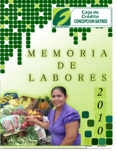 Memoria 2010